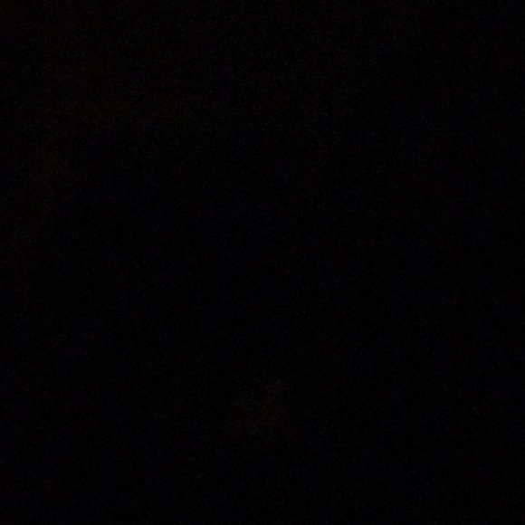 Meet your Posher, Joey - Picture 1 of 1